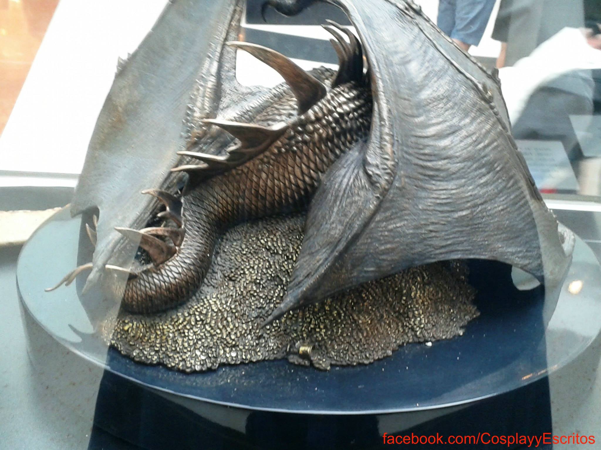 Exposición Tierra del Anillo ExpoTierraAnillo5