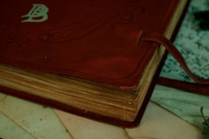 Réplica en español del Libro Rojo de la Frontera del Oeste