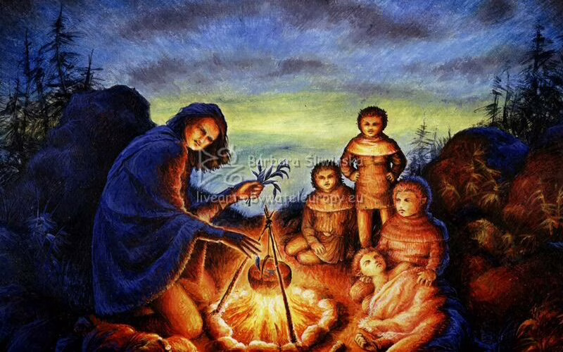 23-02-3019 De madrugada Gollum se acerca al campamento, pero Frodo lo ahuyenta al desenvainar a Dardo y Aragorn se despierta.