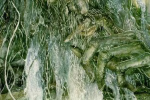 Bárbol