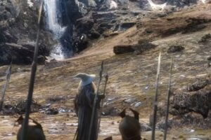 Gandalf intenta razonar con Dáin