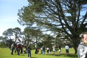El Árbol de la fiesta 2