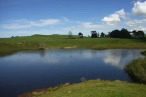 Lago