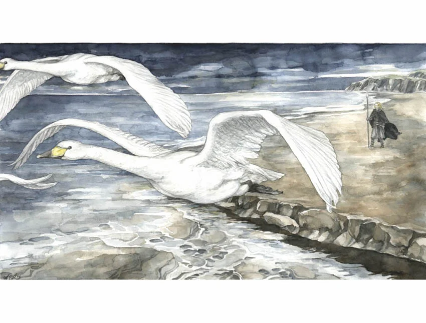 «Tras los cisnes», de Anke Eißmann