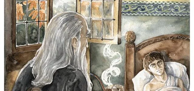 24-10-3018 Frodo despierta en Rivendel y ve a Gandalf