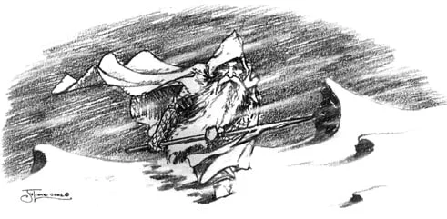 Barbas Rígidas