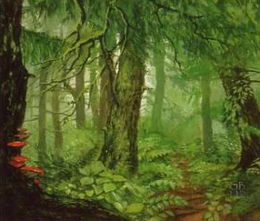 Bosque de Drúadan