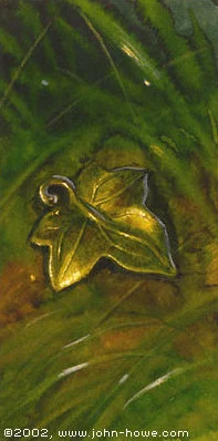 Broches élficos