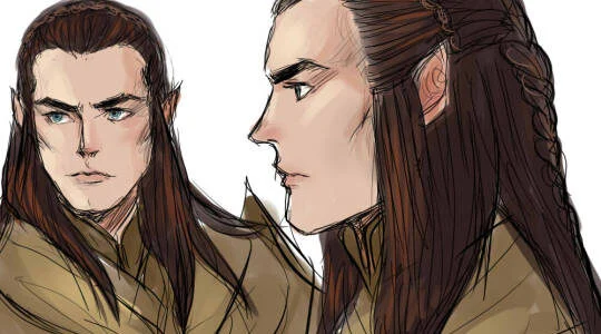 14-06-3019 Elladan y Elrohir se encuentran con la escolta de Arwen y conducen a su hermana a Edoras