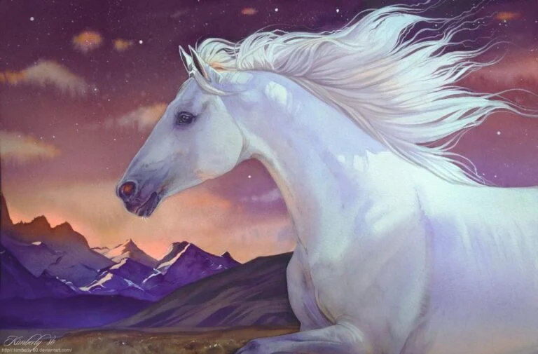 Kimberly - Shadowfax