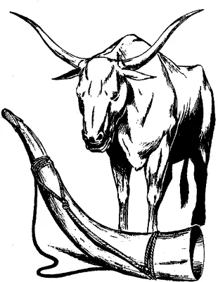 Las vacas de Araw