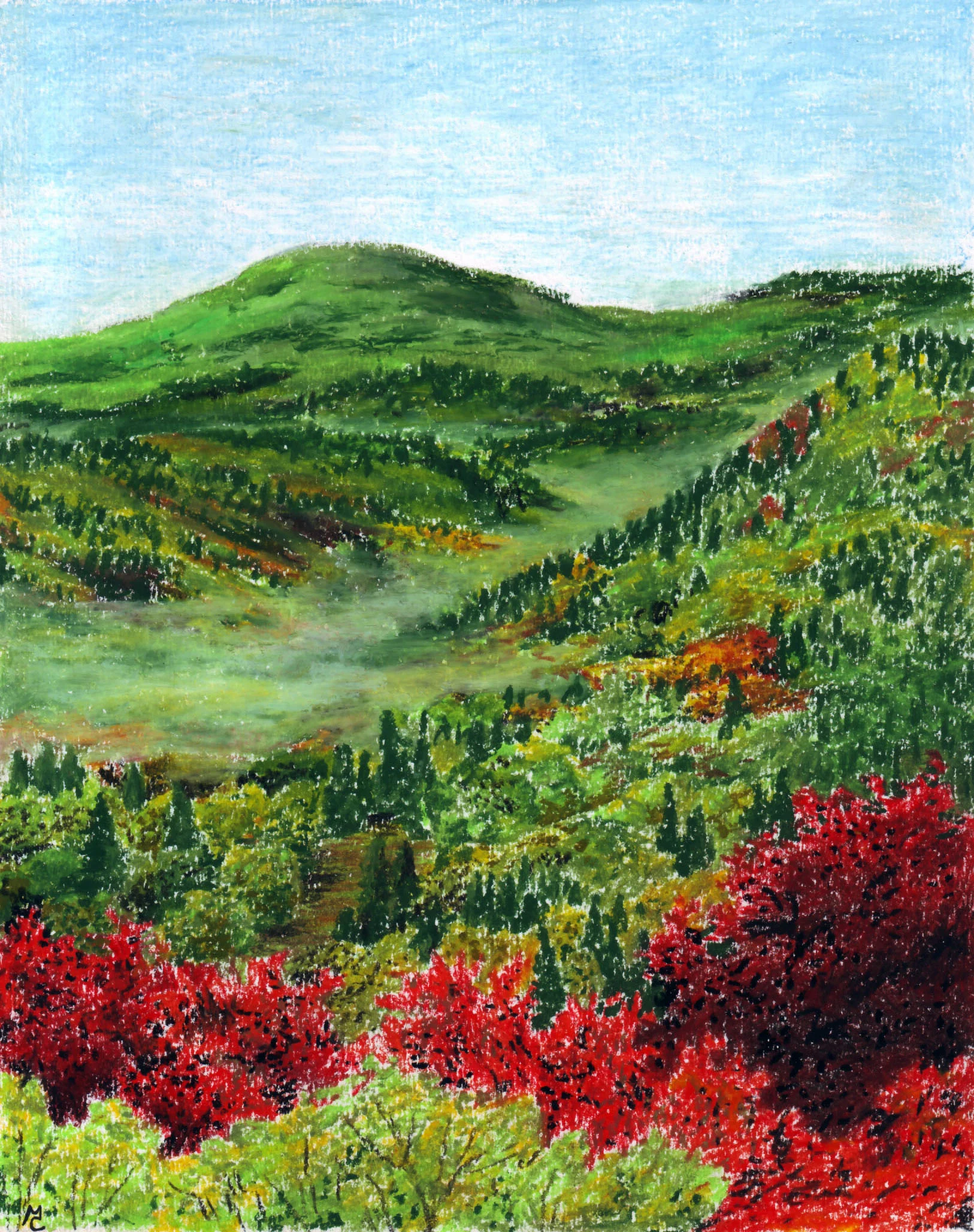 Bosque de Chet