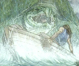 Peces Tortuga