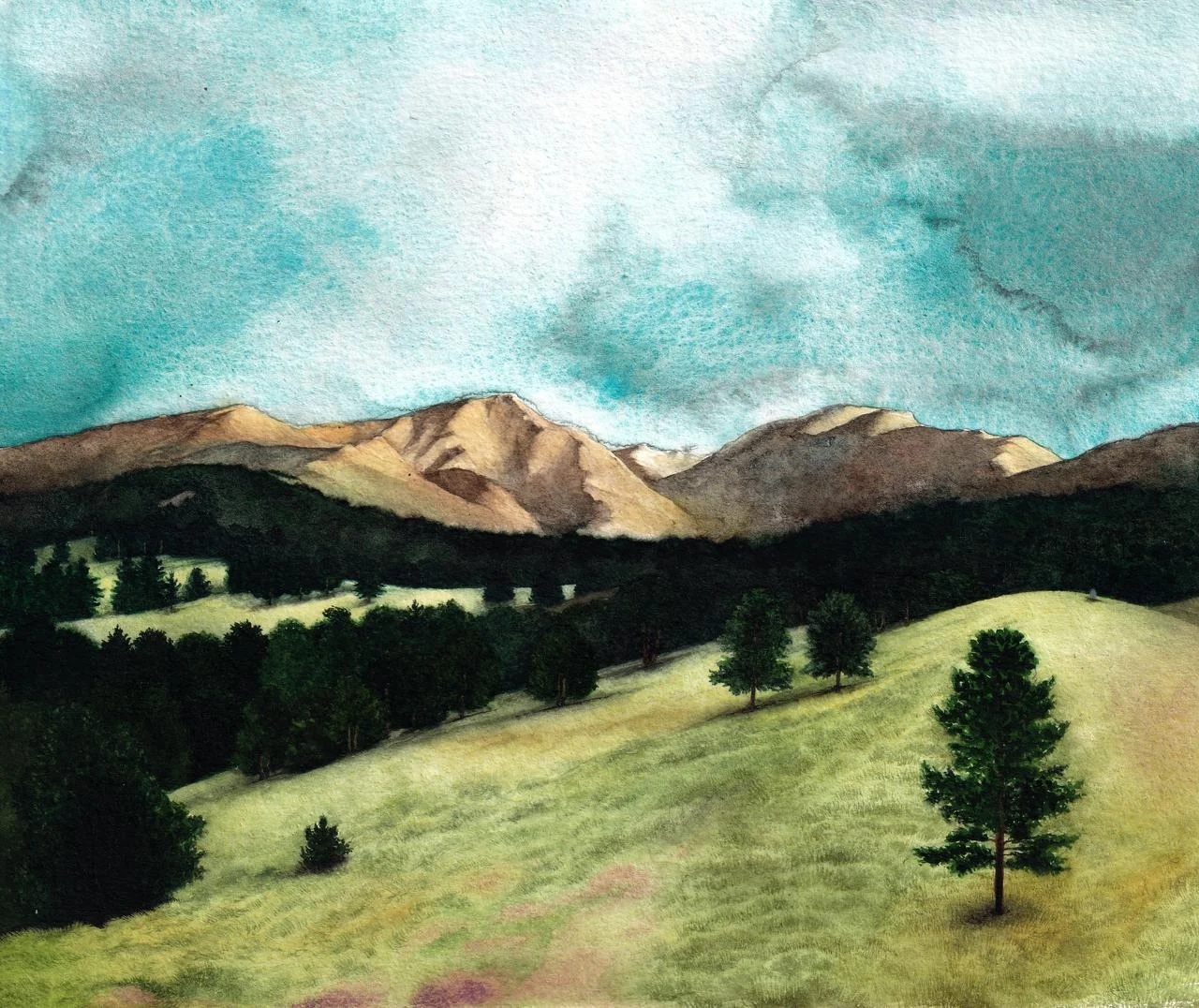 Orocarni