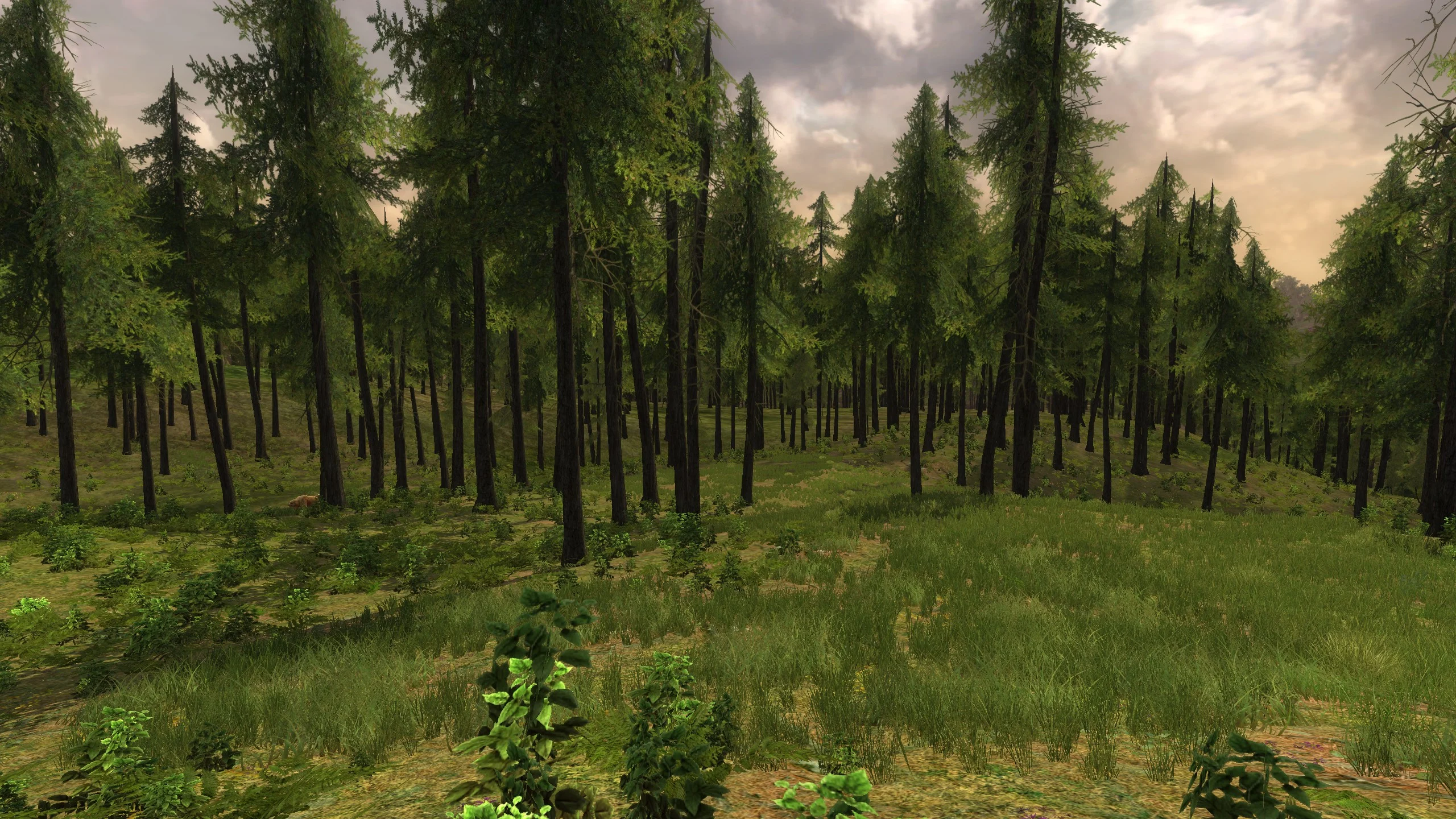 Bosque del Fardo