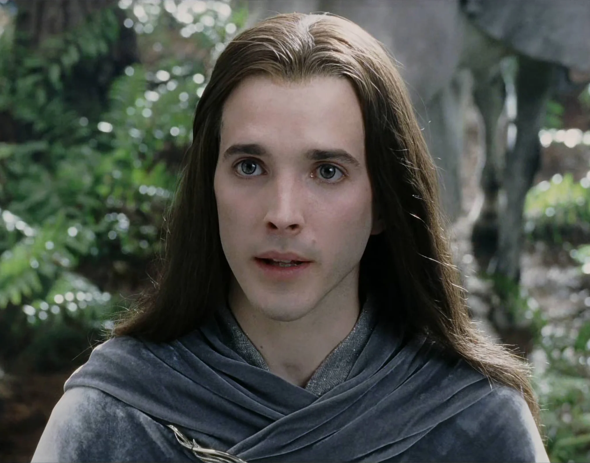 Figwit