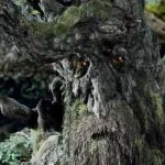 Foto del perfil de Sr.Oscuro